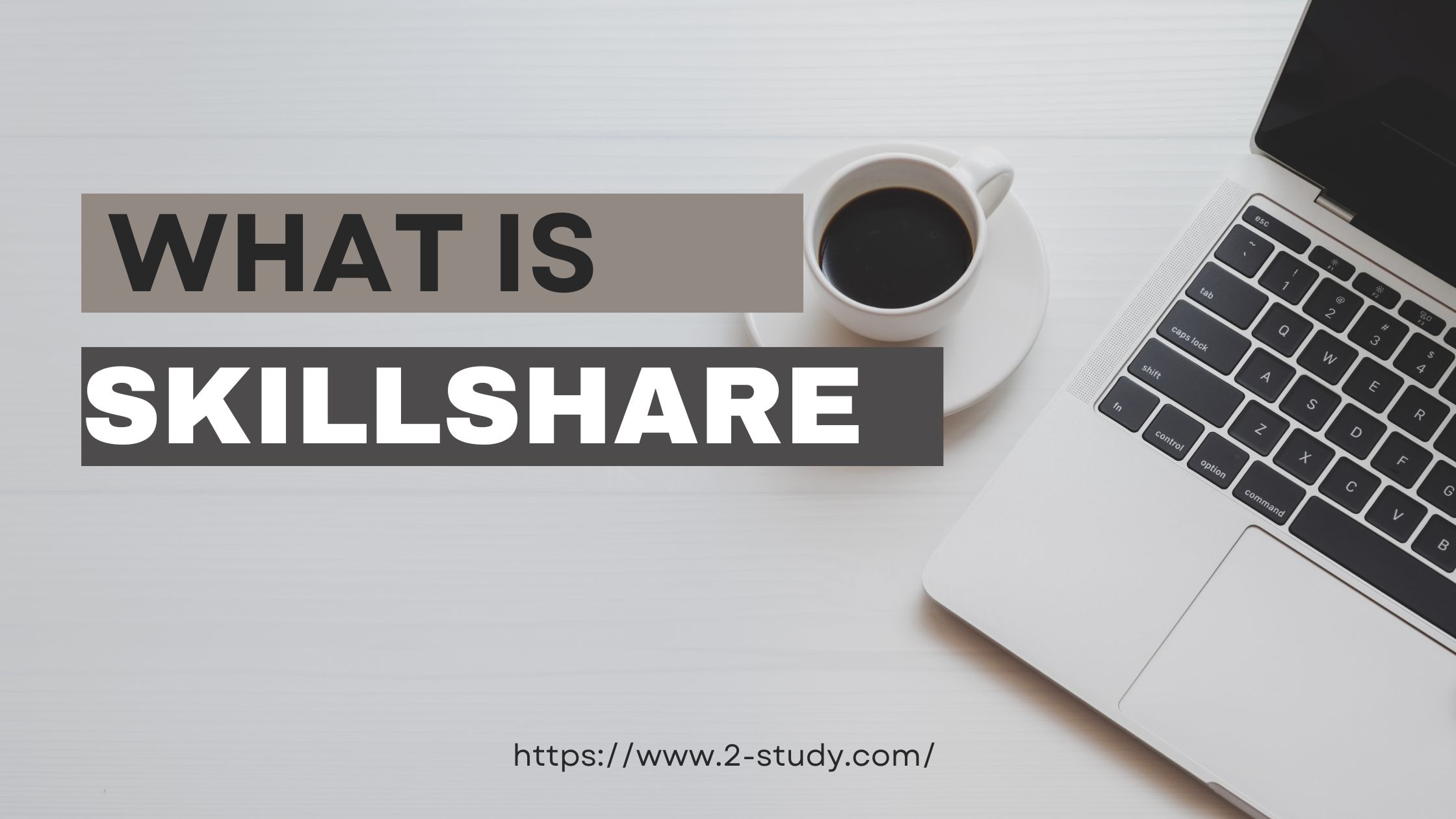 What is Skillshare: How Does It Work?